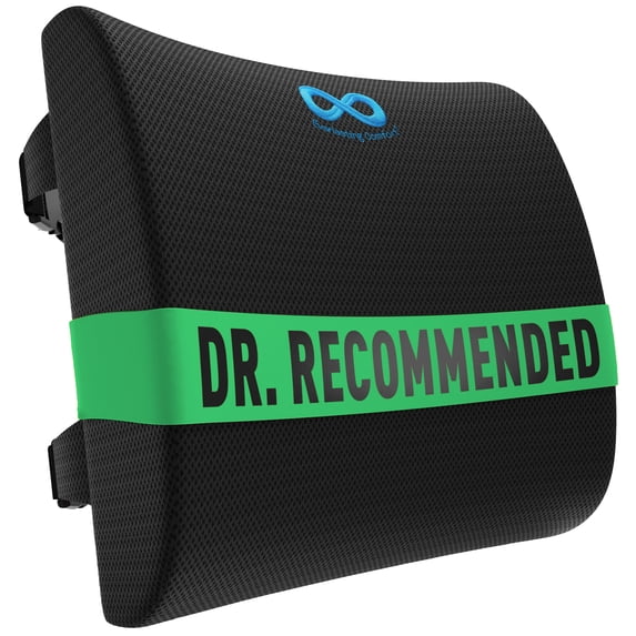 Everlasting Comfort Lumbar Support Pillow – Memory Foam Back Cushion for Office Chair, Car and Travel