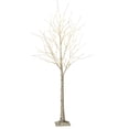thumbnail image 1 of 6 ft. Prelit Birch Tree with Warm White LEDs, 1 of 4