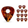 thumbnail image 1 of Everly Star Classic Tortoise Shell Guitar Picks .46 mm 12 Pack, 1 of 1