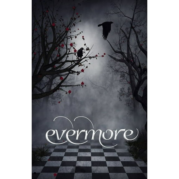 Evermore Evermore 4: Edgar Allan Poe Inspired Poetry, Book 4, (Paperback)