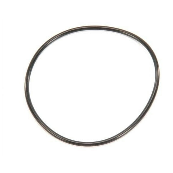 Everpure O-Ring Buna-N#241 Std Upc Bulk 151120 - Genuine OEM Replacement Part