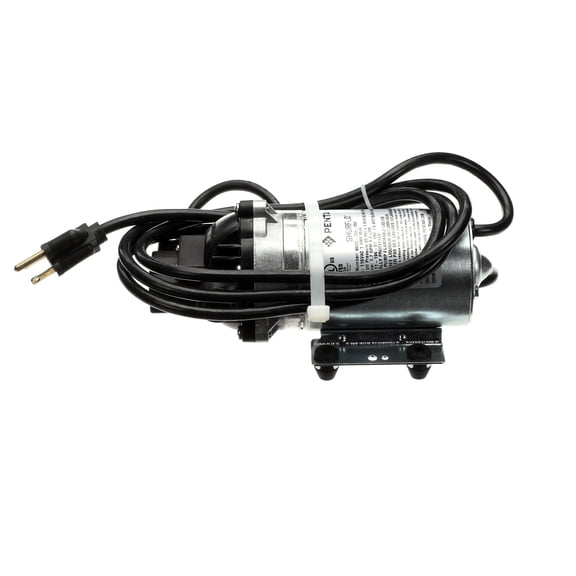 Everpure Pump 115V 60Psi Cord N/E/S 8025-733-256 - Genuine OEM Replacement Part