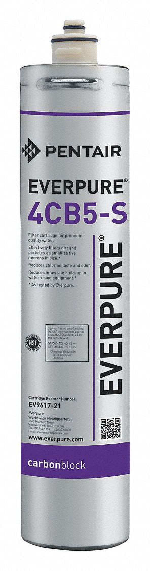 Everpure 4CB5-S 6,000 Gallon Carbon Block Water Filter
