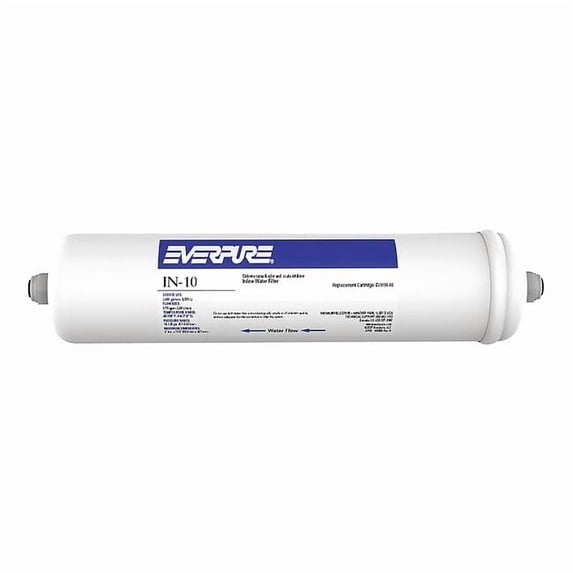 Everpure Water Filter W Granular Carbon Ctrl 10in EV910008-75