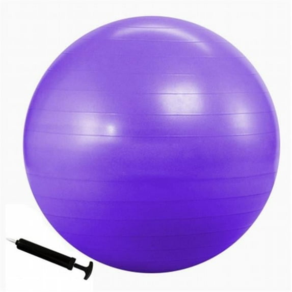 Everrich Industries EVC-0242 Balance Ball - 30 in.