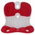 thumbnail image 1 of Evertone Posture Pro LUMBAR SUPPORT pro, 1 of 5