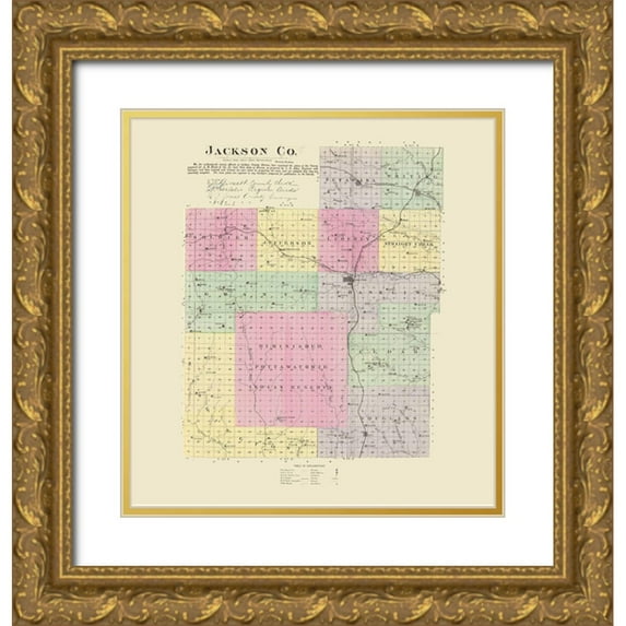 Everts 26x27 Gold Ornate Wood Framed with Double Matting Museum Art Print Titled - Jackson Kansas - Everts 1887