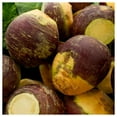thumbnail image 1 of Everwilde Farms Purple Top Rutabaga Plant Seeds, 1 of 3