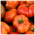 thumbnail image 1 of Everwilde Farms - 1/4 lb Big Rainbow Heirloom Tomato Seeds - Gold Vault Bulk Seed Packet, 1 of 2