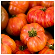 Everwilde Farms - 1/4 lb Big Rainbow Heirloom Tomato Seeds - Gold Vault Bulk Seed Packet