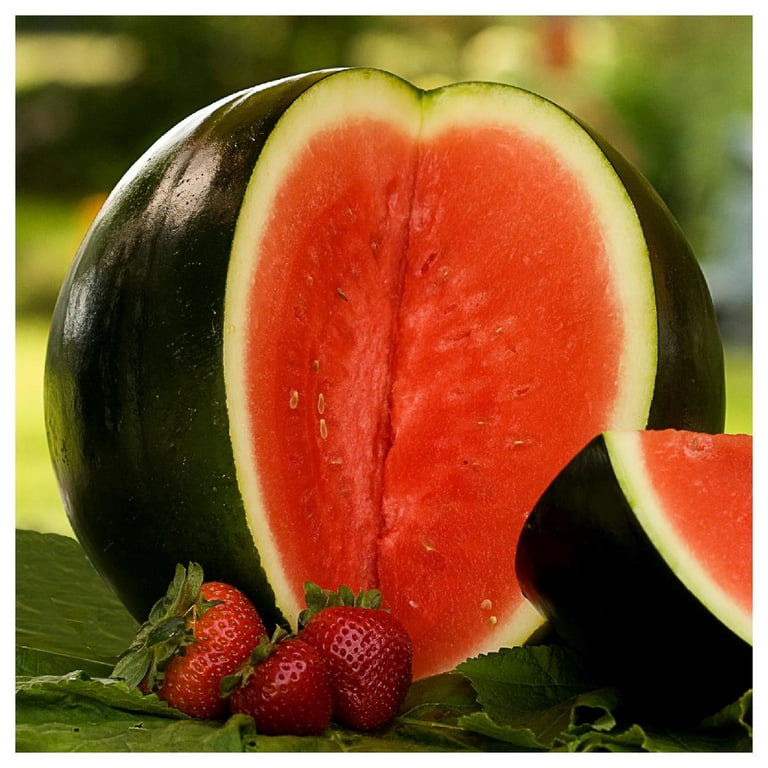 Black Watermelon Seeds