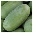 thumbnail image 1 of Everwilde Farms - 1/4 lb Charleston Gray Watermelon Seeds - Gold Vault Bulk Seed Packet, 1 of 3