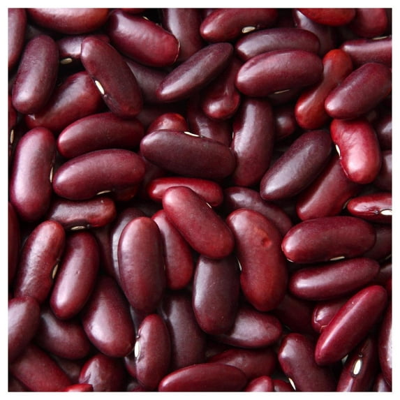 Everwilde Farms - 1/4 lb Dark Red Kidney Dry Bean Seeds - Gold Vault Bulk Seed Packet