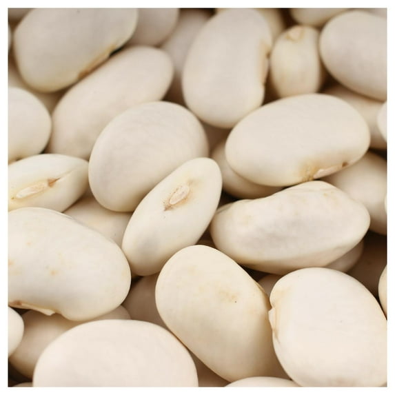 Everwilde Farms - 1/4 lb King of the Garden Lima Pole Bean Seeds - Gold Vault Bulk Seed Packet