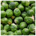 thumbnail image 1 of Everwilde Farms - 1/4 lb Long Island Improved Brussels Sprouts Seeds - Gold Vault Bulk Seed Packet, 1 of 4