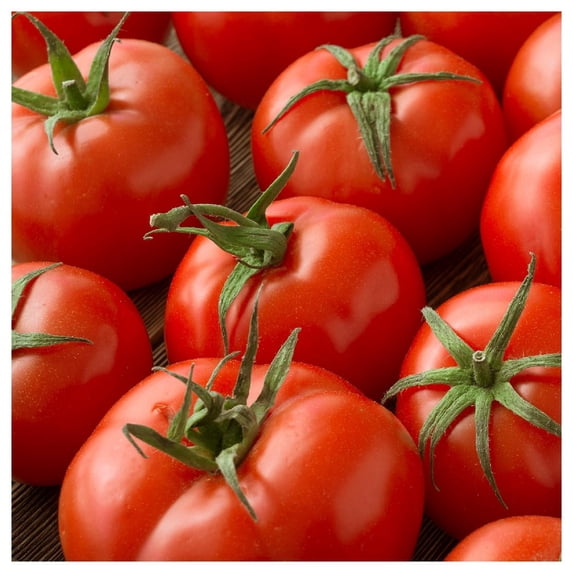 Everwilde Farms - 1/4 lb Marglobe Heirloom Tomato Seeds - Gold Vault Bulk Seed Packet