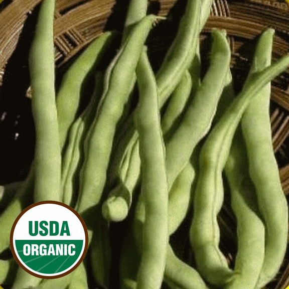 Everwilde Farms - 1/4 lb Organic Kentucky Wonder Pole Bean Seeds - Gold Vault Bulk Seed Packet