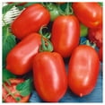 thumbnail image 1 of Everwilde Farms - 1/4 lb Roma Heirloom Tomato Seeds - Gold Vault Bulk Seed Packet, 1 of 3