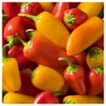 thumbnail image 1 of Everwilde Farms - 1/4 lb Santa Fe Grande Hot Pepper Seeds - Gold Vault Bulk Seed Packet, 1 of 3