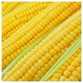 thumbnail image 1 of Everwilde Farms - 1 lb Bodacious F1 Hybrid Yellow Sweet Corn Seeds - Gold Vault Bulk Seed Packet, 1 of 3