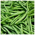 thumbnail image 1 of Everwilde Farms Burpee Stringles Green Bush Bean Plant Seeds, 1 of 2