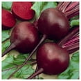 thumbnail image 1 of Everwilde Farms - 1 lb Detroit Dark Red Beet Seeds - Gold Vault Bulk Seed Packet, 1 of 3