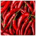 thumbnail image 1 of Everwilde Farms - 1 lb Organic Sweet Cayenne Hot Pepper Seeds - Gold Vault Bulk Seed Packet, 1 of 3
