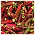 thumbnail image 1 of Everwilde Farms - 1 lb Red Burgundy Okra Seeds - Gold Vault Bulk Seed Packet, 1 of 3