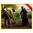 thumbnail image 1 of Everwilde Farms - 1 lb Viroflay Spinach Seeds - Gold Vault Bulk Seed Packet, 1 of 5