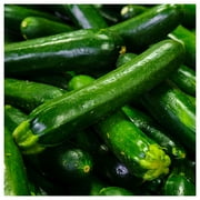 Everwilde Farms - 1 oz Dark Green Zucchini Summer Squash Seeds - Gold Vault Bulk Seed Packet