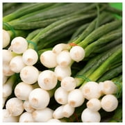 Everwilde Farms - 1 oz Evergreen White Bunching Onion Seeds - Gold Vault Bulk Seed Packet