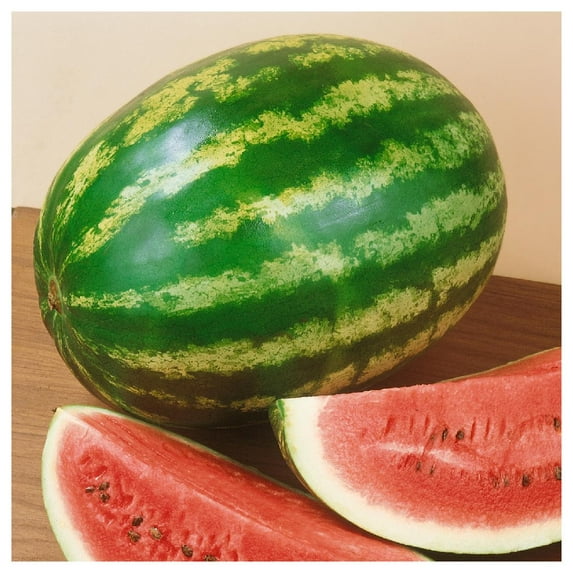 Everwilde Farms - 1 oz Organic Crimson Sweet Watermelon Seeds - Gold Vault Bulk Seed Packet