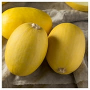 Everwilde Farms - 1 oz Organic Vegetable Spaghetti Winter Squash Seeds - Gold Vault Bulk Seed Packet