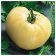 thumbnail image 1 of Everwilde Farms - 1 oz Organic White Wonder Beefsteak Heirloom Tomato Seeds - Gold Vault Bulk Seed Packet, 1 of 2