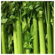 Everwilde Farms - 1 oz Tall Utah 52-70 Celery Seeds - Gold Vault Bulk Seed Packet