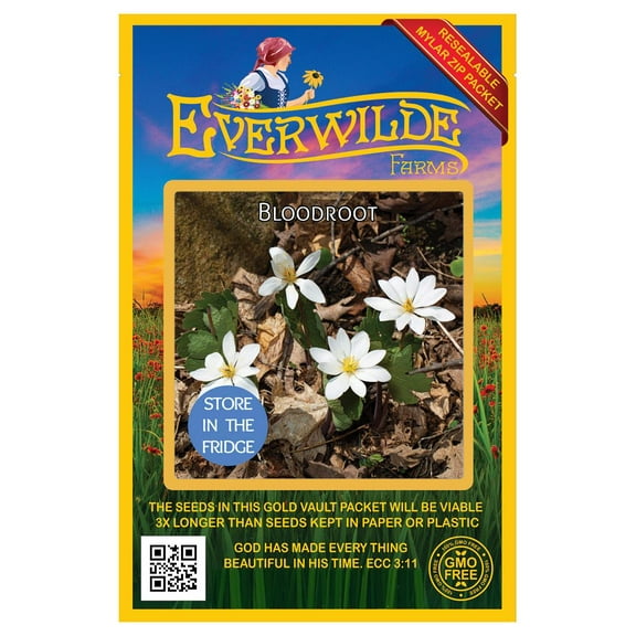 Everwilde Farms - 10 Bloodroot Native Wildflower Seeds - Gold Vault Seed Packet