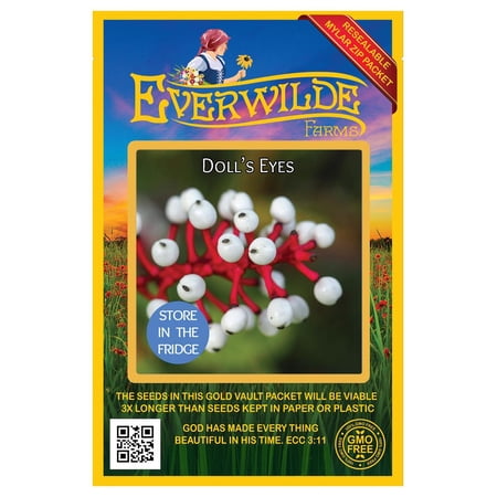 Everwilde Farms - 10 Doll's Eyes Native Wildflower Seeds - Gold Vault Seed Packet