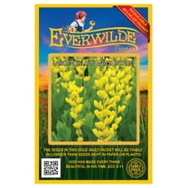 Everwilde Farms - 10 Large Yellow Wild Indigo Native Wildflower Seeds - Gold Vault Seed Packet