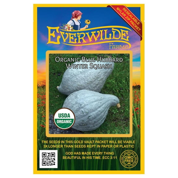 Everwilde Farms - 10 Organic Blue Hubbard Winter Squash Seeds - Gold Vault Jumbo Bulk Seed Packet