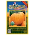 thumbnail image 1 of Everwilde Farms - 10 Organic Howdens Field Pumpkin Pumpkin Seeds - Gold Vault Jumbo Bulk Seed Packet, 1 of 5