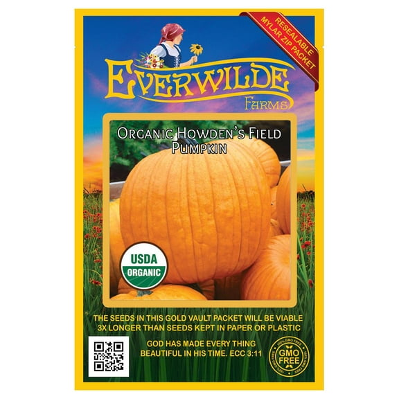Everwilde Farms - 10 Organic Howdens Field Pumpkin Pumpkin Seeds - Gold Vault Jumbo Bulk Seed Packet