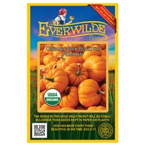 Everwilde Farms - 10 Organic Jack Be Little Pumpkin Seeds - Gold Vault Jumbo Bulk Seed Packet