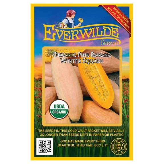 Everwilde Farms - 10 Organic Pink Banana Winter Squash Seeds - Gold Vault Jumbo Bulk Seed Packet