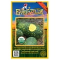 thumbnail image 1 of Everwilde Farms - 10 Organic Red Moon And Stars Watermelon Seeds - Gold Vault Jumbo Bulk Seed Packet, 1 of 5