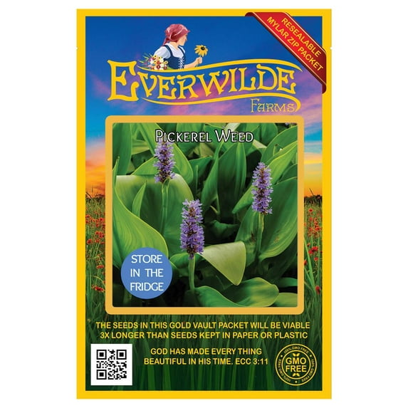 Everwilde Farms - 10 Pickerel Weed Native Wildflower Seeds - Gold Vault Jumbo Bulk Seed Packet
