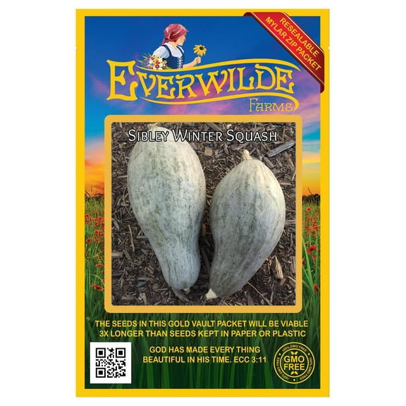 Everwilde Farms - 20 Sibley Winter Squash Seeds - Gold Vault Seed Packet
