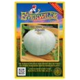 thumbnail image 1 of Everwilde Farms - 10 Sweet Meat Winter Squash Seeds - Gold Vault Seed Packet, 1 of 4