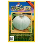Everwilde Farms - 10 Sweet Meat Winter Squash Seeds - Gold Vault Jumbo Bulk Seed Packet