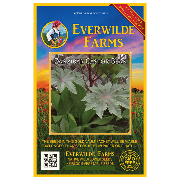 Everwilde Farms 10 Zanzibar Castor Bean Flower Seeds, Traditional Medicinal Use