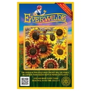Everwilde Farms - 100 Autumn Beauty Sunflower Garden Flower Seeds - Gold Vault Jumbo Bulk Seed Packet